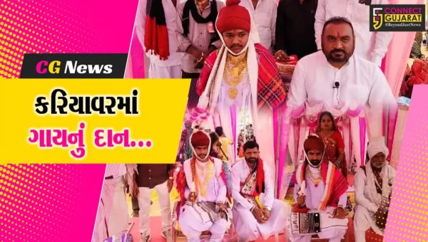 અનોખુ “કરિયાવર” : જુનાગઢમાં ચારણ સમાજ દ્વારા સમૂહ લગ્નોત્સવમાં 58 દીકરીઓને ગીર ગાયની ભેટ…