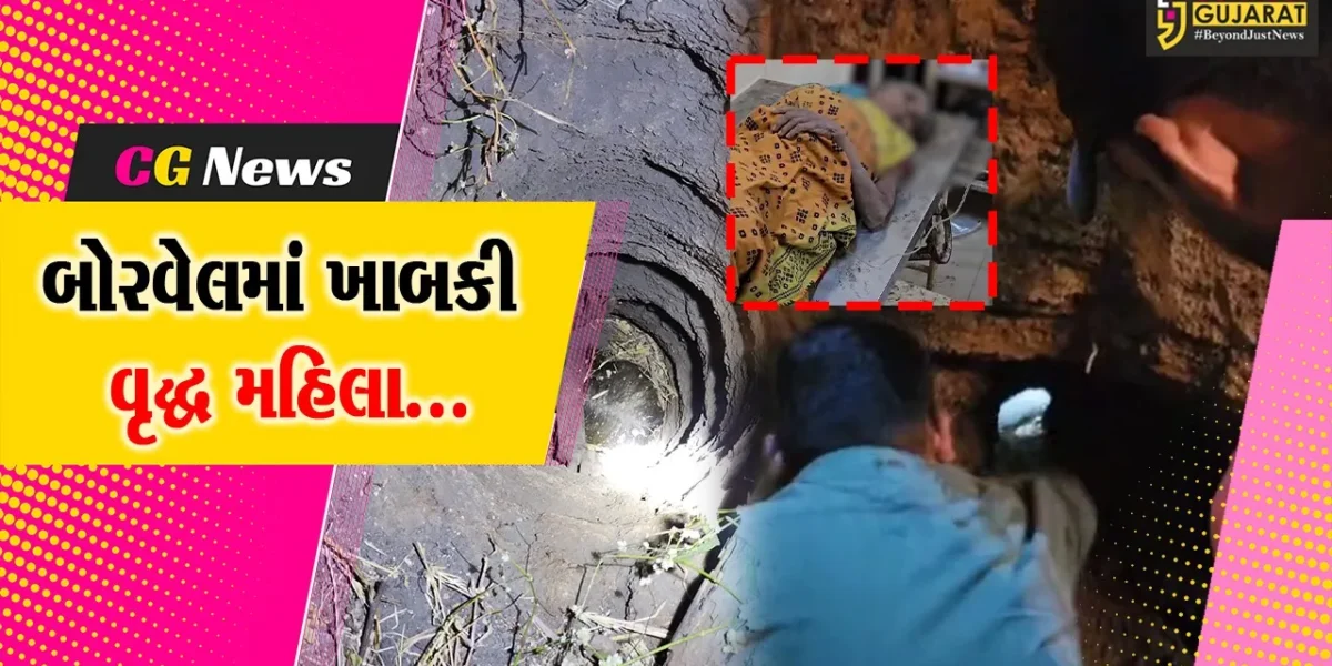 તાપી : વ્યારામાં ચાંપાવાડી ગામે વૃદ્ધા બોરવેલમાં ખાબકતા કરાયું રેસ્ક્યુ,ફાયર વિભાગે મહિલાનો બચાવ્યો જીવ