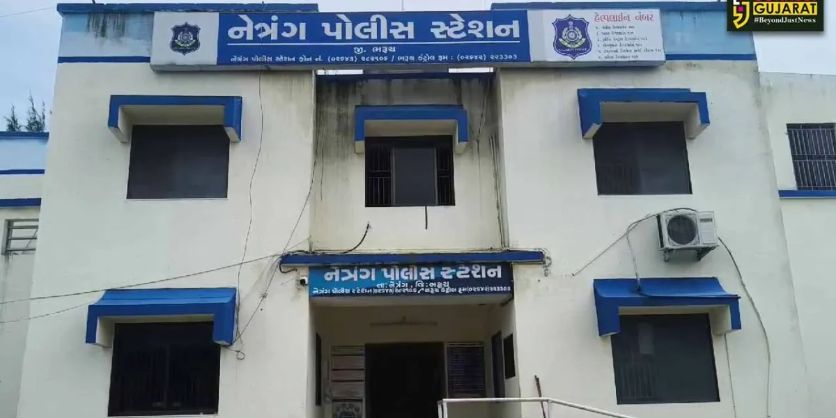 ભરૂચ : નેત્રંગમાં વૃદ્ધ મહિલાને ભટકાયા ભેજાબાજો,પોલીસની ઓળખ આપી દાગીના સેરવી થયા ફરાર