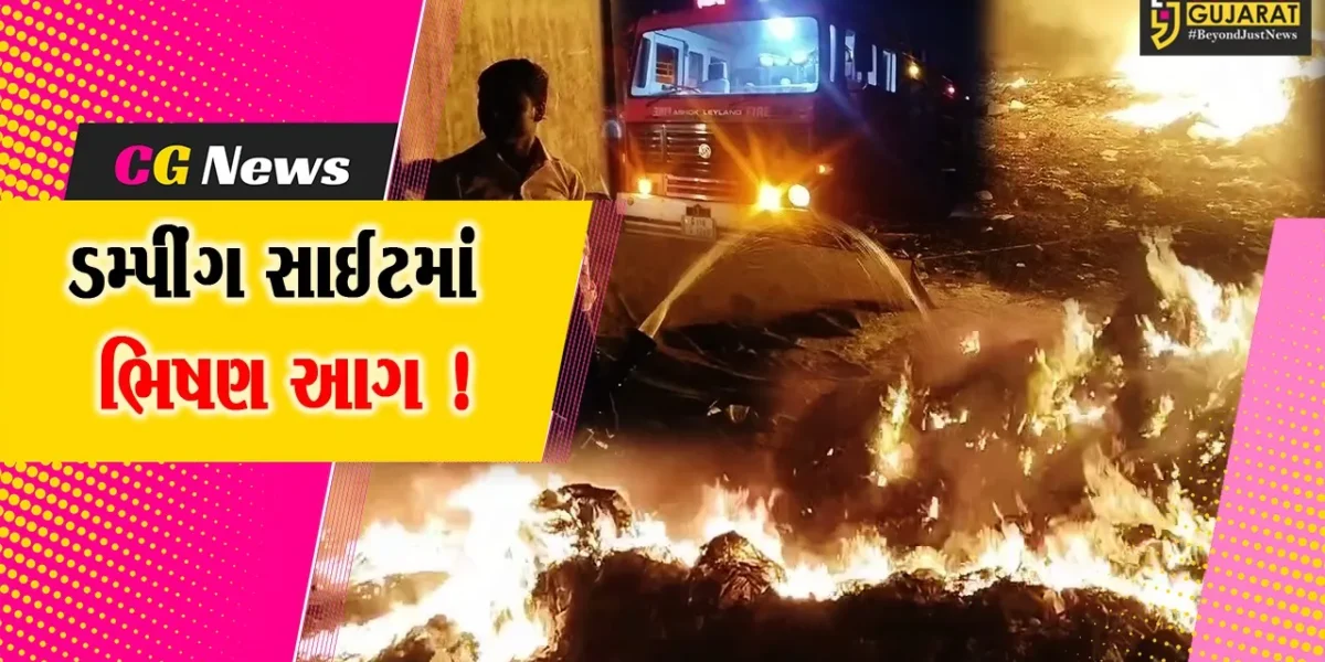 અંકલેશ્વર: GIDCમાં નોટિફાઇડ એરીયા ઓથોરિટીની ડમ્પીંગ સાઈટમાં ભીષણ આગ, 11 ફાયર ટેન્ડરોએ આગ પર મેળવ્યો કાબુ