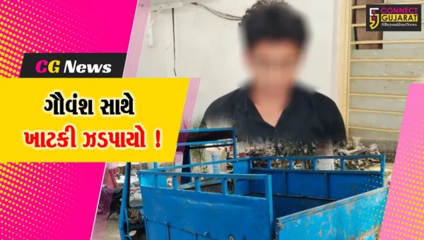 અંકલેશ્વર: એ ડિવિઝન પોલીસે કસાઈવાડમાંથી ગૌ વંશ સાથે ખાટકીની કરી ધરપકડ