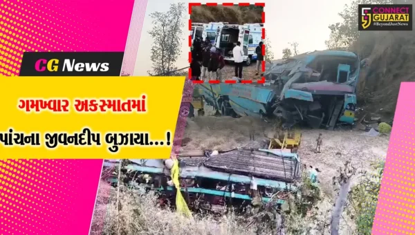 સાપુતારા : માલેગાંવ ઘાટમાં ખાનગી બસ પલટી મારતા સર્જાયો ગમખ્વાર અકસ્માત,5 યાત્રીઓના કરુણ મોત