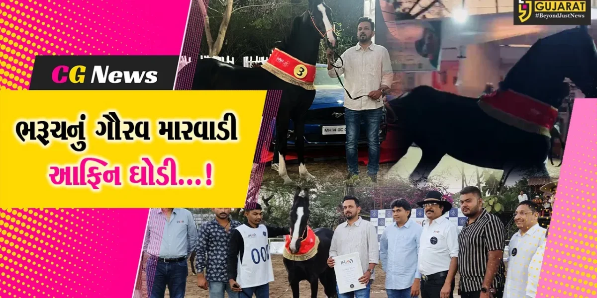 ભરૂચ : પુણામાં રાષ્ટ્રીય સ્પર્ધામાં મિલ્ક તીથ કેટેગરીમાં ત્રીજું સ્થાન પ્રાપ્ત કરતી મારવાડી આફ્રિન ઘોડી