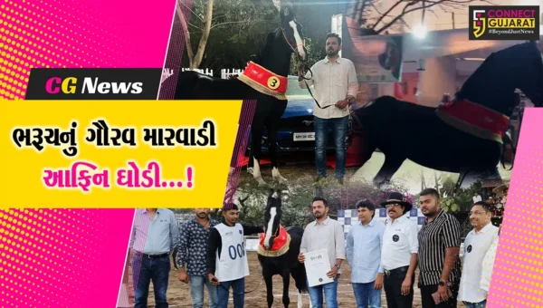 ભરૂચ : પુણામાં રાષ્ટ્રીય સ્પર્ધામાં મિલ્ક તીથ કેટેગરીમાં ત્રીજું સ્થાન પ્રાપ્ત કરતી મારવાડી આફ્રિન ઘોડી