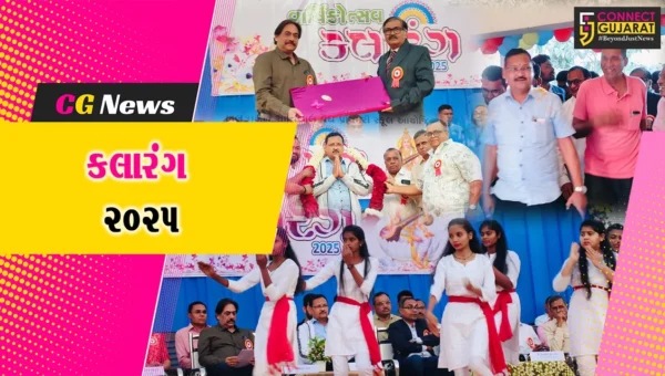 અંકલેશ્વર: હાંસોટના ઇલાવ ગામે આવેલ આર.કે.વકીલ હાઈસ્કૂલનો વાર્ષિકોત્સવ કલારંગ 2025 યોજાયો