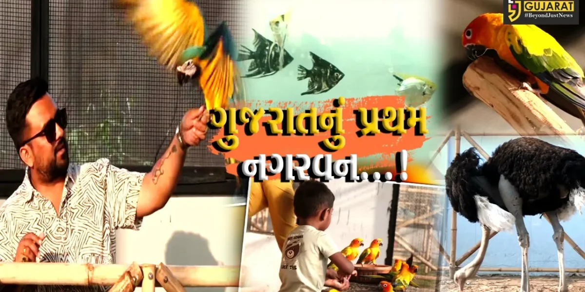 ડુમસ દરિયા કિનારે ગુજરાતનું પ્રથમ નગરવન આકાર પામ્યું,પ્રકૃતિ અને શહેરી જીવન વચ્ચેનો અનોખો સુમેળ