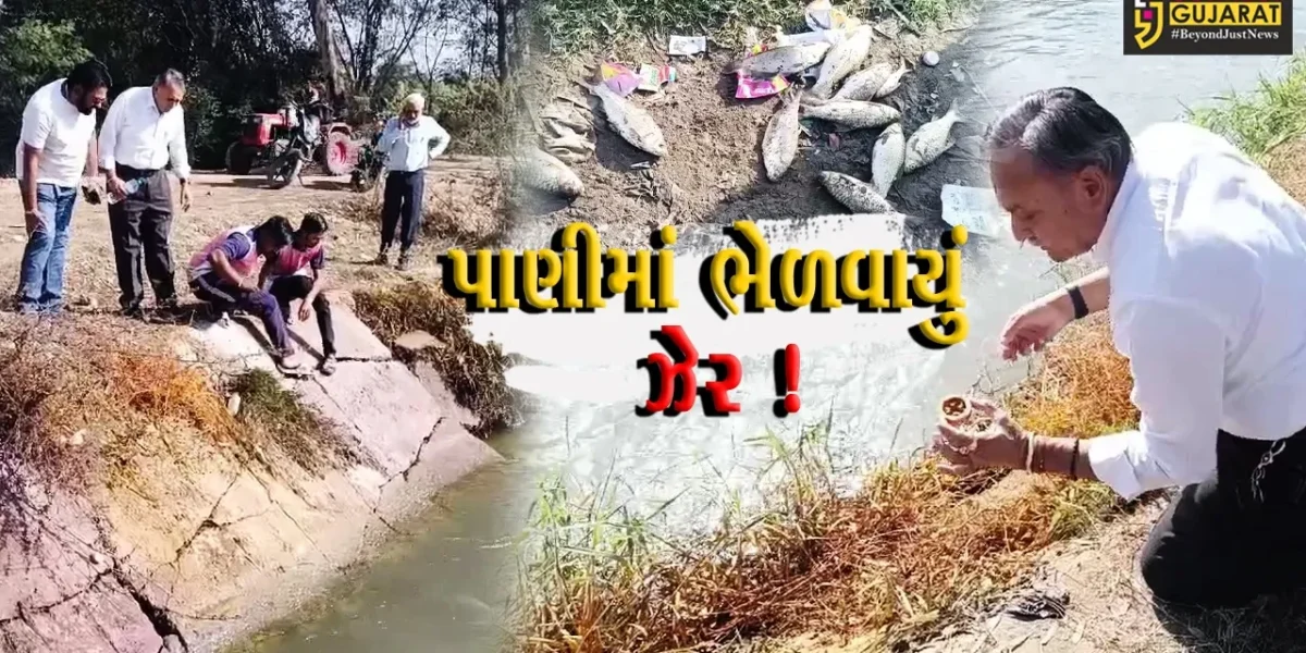 અંકલેશ્વર: ઉકાઈ જમણા કાંઠા નહેરમાં જોખમી રસાયણિક કચરો ઠલવાયો, જળચરોના મોત