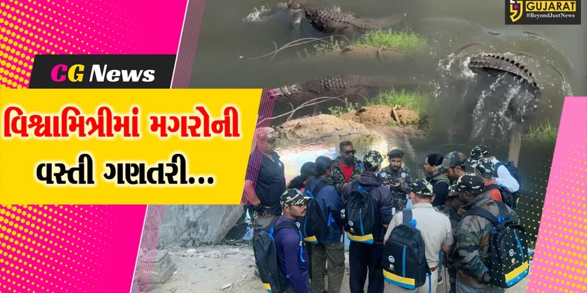 વડોદરા : વિશ્વામિત્રી નદીમાં વસવાટ કરતાં મગરોની વસ્તી ગણતરી હાથ ધરાય, 27 કિમી વિસ્તારમાં 25 ટીમો કામે લાગી…