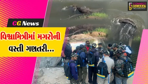 વડોદરા : વિશ્વામિત્રી નદીમાં વસવાટ કરતાં મગરોની વસ્તી ગણતરી હાથ ધરાય, 27 કિમી વિસ્તારમાં 25 ટીમો કામે લાગી…
