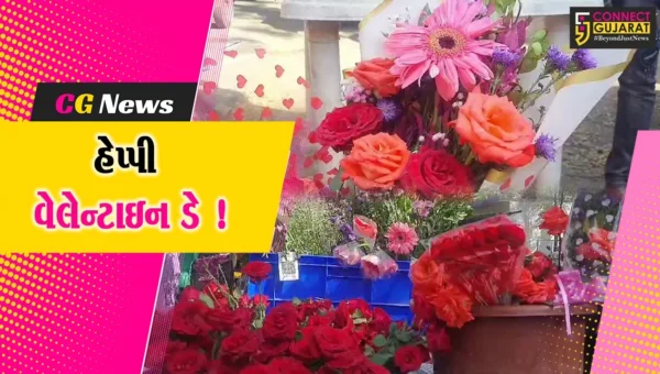 આજે વેલેન્ટાઈન ડે: હૈયાની વાત હોઠ પર લાવવા ફૂલ બન્યા સહારો,ફૂલ બજારમાં તેજી