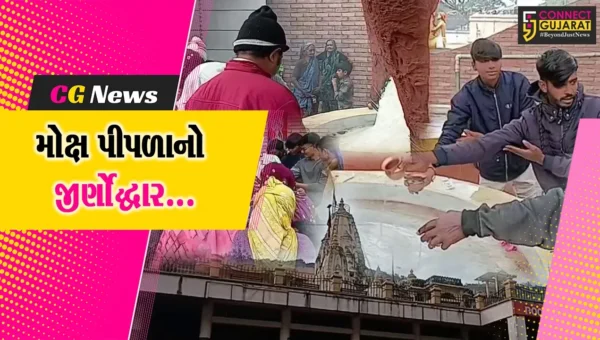 જુનાગઢ : દામોદર કુંડમાં આવેલ પ્રાચીન મોક્ષ પીપળાનો જીર્ણોદ્ધાર કરી પિતૃ તર્પણ માટે ખુલ્લો મુકાયો…