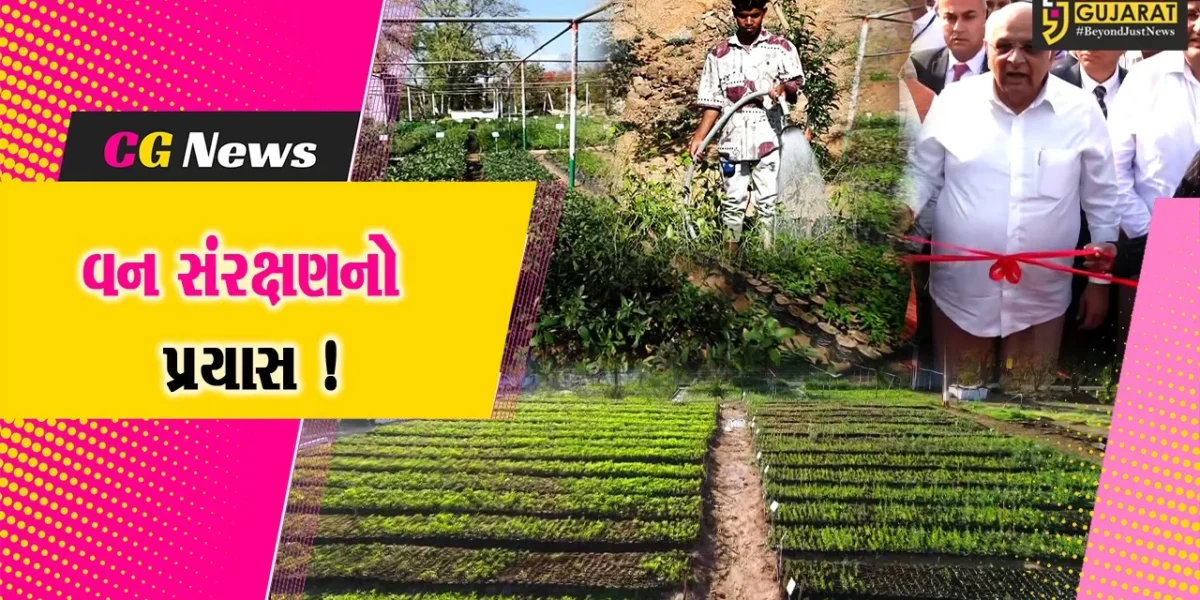 રાજ્ય સરકારનો ગ્રીન અંબાજી પ્લાન્ટેશન પ્રોજેક્ટ વન-સંરક્ષણના પ્રયાસમાં અનોખી પહેલ
