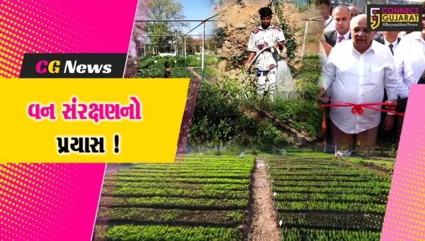 રાજ્ય સરકારનો ગ્રીન અંબાજી પ્લાન્ટેશન પ્રોજેક્ટ વન-સંરક્ષણના પ્રયાસમાં અનોખી પહેલ