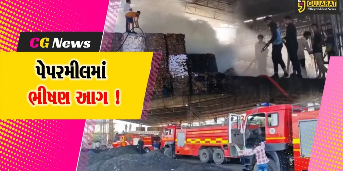 અરવલ્લી: મોડાસા નજીક પેપરમીલમાં ભીષણ આગ, ફાયર વિભાગે આગ પર કાબુ મેળવ્યો