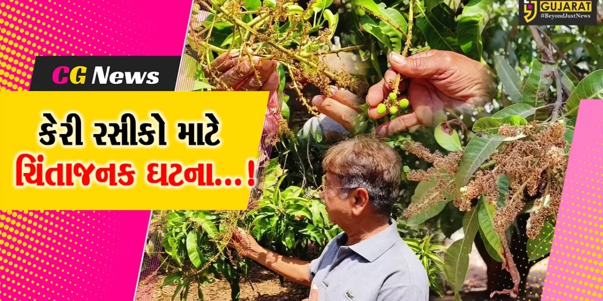 વલસાડ : આંબાવાડીમાં મોટી નુકસાની,મોર ખરી પડતા કેરીનો 90 ટકા પાક નિષ્ફળ ગયો હોવાનો ખેડૂત સમાજના પ્રમુખનો દાવો