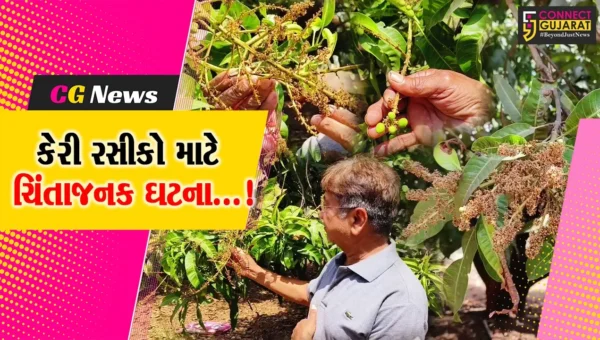 વલસાડ : આંબાવાડીમાં મોટી નુકસાની,મોર ખરી પડતા કેરીનો 90 ટકા પાક નિષ્ફળ ગયો હોવાનો ખેડૂત સમાજના પ્રમુખનો દાવો
