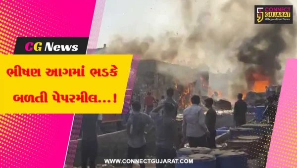 સુરેન્દ્રનગર : પેપરમીલમાં ભીષણ આગને પગલે નાસભાગ,આર્મીની પણ લેવામાં આવી મદદ