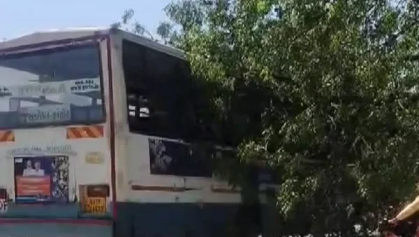અંકલેશ્વર: ભારે પવનના કારણે હાંસોટ બસ ડેપોમાં એસ.ટી.બસ પર વૃક્ષ ધરાશાયી થતા દોડધામ