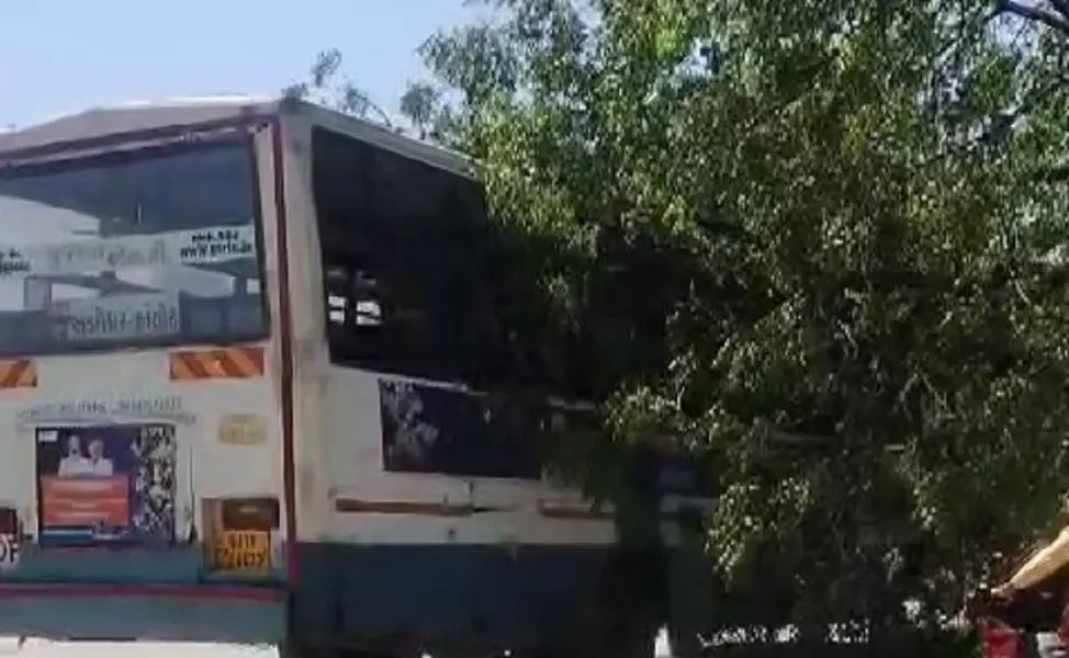 અંકલેશ્વર: ભારે પવનના કારણે હાંસોટ બસ ડેપોમાં એસ.ટી.બસ પર વૃક્ષ ધરાશાયી થતા દોડધામ