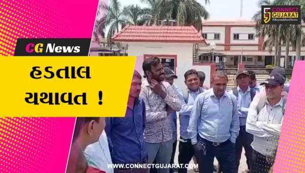 ભરૂચ: બ્રીટાનીયા કંપનીના હડતાલ પર ઉતરેલા કર્મચારીઓને વાલિયા યુથ પાવર સંગઠને ટેકો જાહેર કર્યો