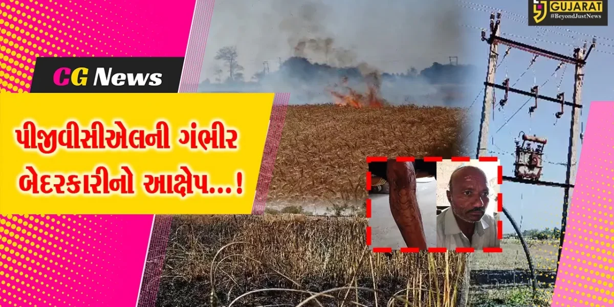 જુનાગઢ : પીજીવીસીએલની ગંભીર બેદરકારીનો આક્ષેપ,વીજ લાઈનમાં શોર્ટ સર્કિટથી આગમાં ઘઉંનો પાક ખાખ,ખેડૂત પણ દાઝ્યા