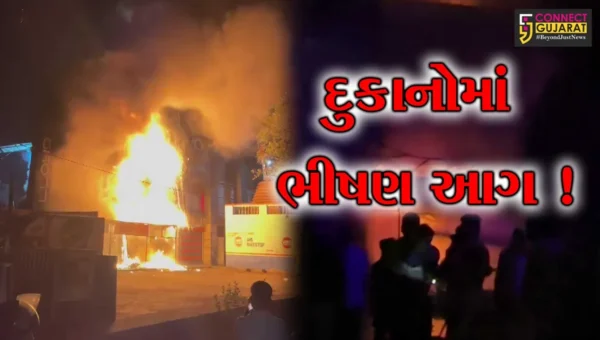 અંકલેશ્વર: ગડખોલ ટી બ્રિજ નીચે સહજાનંદ કોમ્પ્લેક્ષની 4-5 દુકાનોમાં આગ, ફાયર વિભાગે આગ પર કાબુ મેળવ્યો