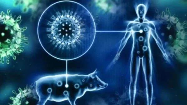 H1N1 વાયરસ ફરી ફેલાઈ રહ્યો છે, 516 લોકો સંક્રમિત, 6 દર્દીઓના મોત