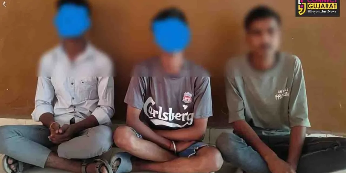 અંકલેશ્વર: ગડખોલના અવધૂત નગરમાંથી મોબાઇલની ચોરી કરનાર 2 સગીર સહિત 3 આરોપીની પોલીસે કરી ધરપકડ