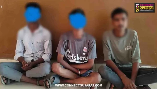અંકલેશ્વર: ગડખોલના અવધૂત નગરમાંથી મોબાઇલની ચોરી કરનાર 2 સગીર સહિત 3 આરોપીની પોલીસે કરી ધરપકડ