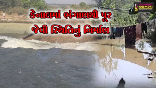 સુરત : કેનાલમાં ભંગાણ થતા ખેતરોમાં પાણી ફરી વળ્યાં, પૂર જેવી સ્થિતિ સર્જાતા ખેડૂતોને થયું નુકસાન