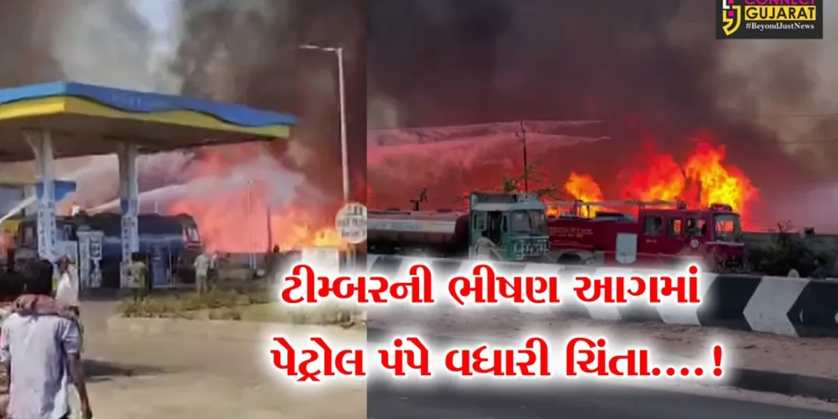 કચ્છ : પડાણા નજીક શંકર ટીમ્બરમાં લાગી ભીષણ આગ,30 મીટર દૂર પેટ્રોલ પંપે રેસ્ક્યુ ટીમની ચિંતામાં કર્યો વધારો