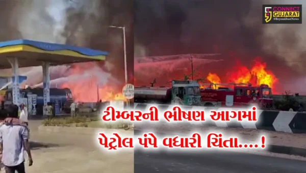 કચ્છ : પડાણા નજીક શંકર ટીમ્બરમાં લાગી ભીષણ આગ,30 મીટર દૂર પેટ્રોલ પંપે રેસ્ક્યુ ટીમની ચિંતામાં કર્યો વધારો