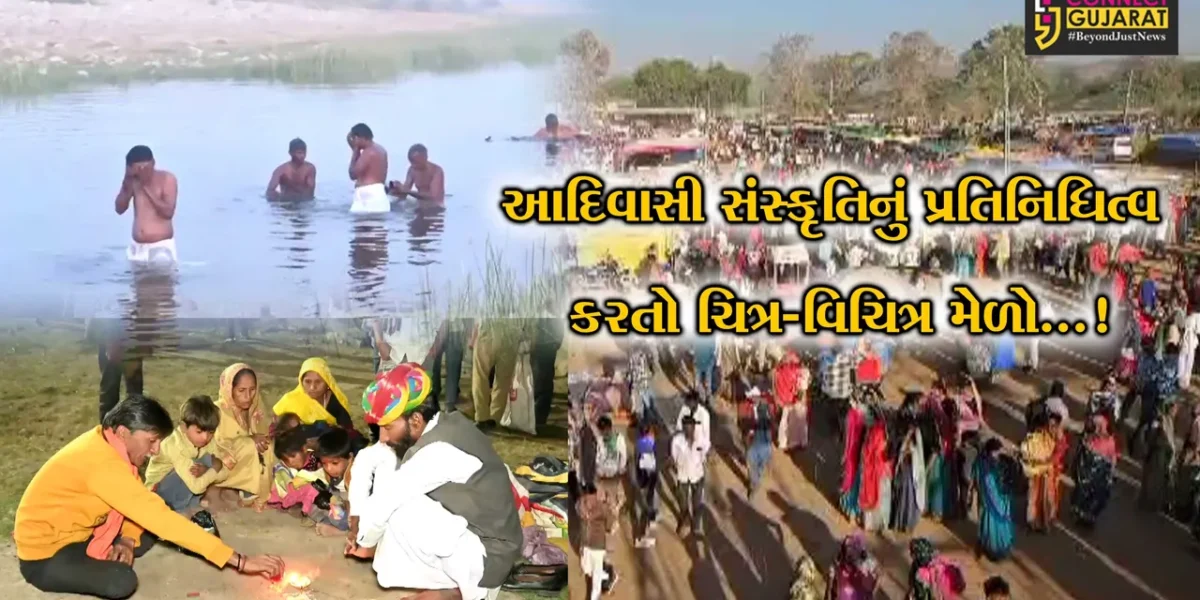 સાબરકાંઠા : ગુણભાંખરીમાં બે દિવસીય ચિત્ર-વિચિત્ર મેળાનું રંગેચંગે સમાપન, આદિવાસી સંસ્કૃતિનો વૈભવ છલક્યો