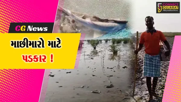 ભરૂચ: હાંસોટના દરિયા કિનારાના વિસ્તારોમાં માછીમારી કરવી માછીમારો માટે પડકાર,જીવનું જોખમ પણ ઉભું થાય છે
