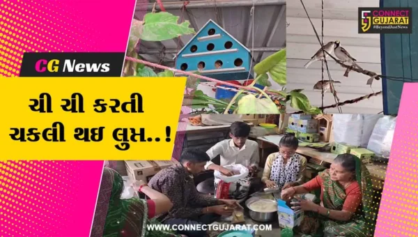 સુરેન્દ્રનગર : લુપ્ત થતી ચકલીઓને બચાવવા માટેનો સ્તુત્ય પ્રયાસ,ચકલી ઘર બનાવીને વિતરણ કરતા પક્ષી પ્રેમી