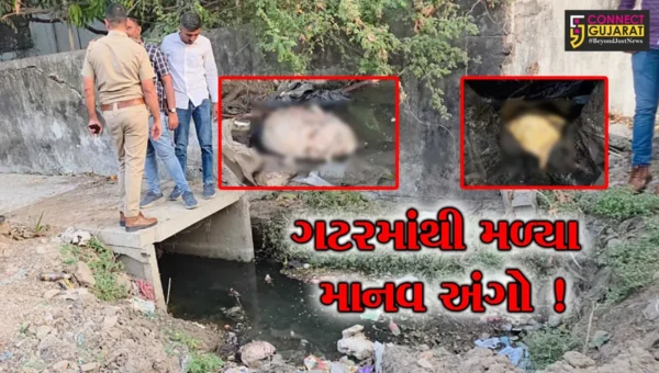 ભરૂચ: કોલેજ રોડ પર ગટરમાંથી માનવ શીશ મળ્યા બાદ નજીકથી જ અન્ય અંગો પણ મળ્યા !