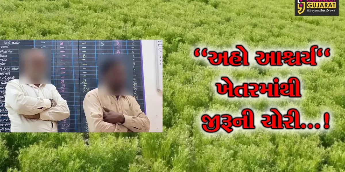 સુરેન્દ્રનગર : લીંબડીના ખંભલાવમાં ખેતરમાંથી જીરૂની ચોરી, 2 આરોપીની પોલીસે કરી ધરપકડ