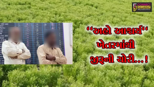 સુરેન્દ્રનગર : લીંબડીના ખંભલાવમાં ખેતરમાંથી જીરૂની ચોરી, 2 આરોપીની પોલીસે કરી ધરપકડ