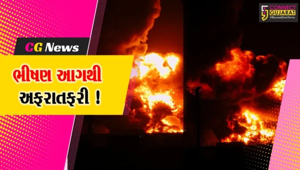ભરૂચ: દહેજની નિયોજન કેમિકલ કંપનીમાં ભીષણ આગ, 16 ફાયર ટેન્ડરોએ આગ પર મેળવ્યો કાબુ