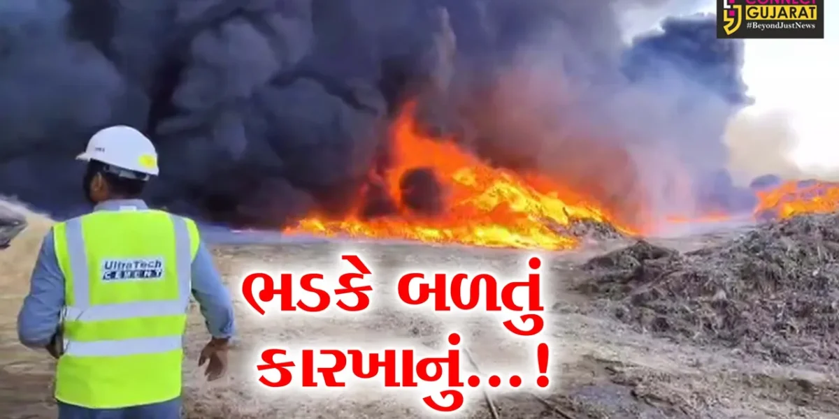 અમરેલી : જાફરાબાદમાં કચરાનું રિસાયક્લિંગ કરતા કારખાનામાં ભીષણ આગ લાગતા દોડધામ, ફાયરની 7 ટીમ બચાવ કામગીરીમાં લાગી