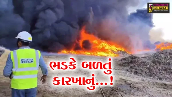 અમરેલી : જાફરાબાદમાં કચરાનું રિસાયક્લિંગ કરતા કારખાનામાં ભીષણ આગ લાગતા દોડધામ, ફાયરની 7 ટીમ બચાવ કામગીરીમાં લાગી
