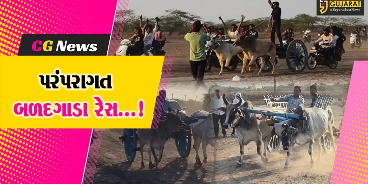 વલસાડ : ભાગલમાં ધુળેટી પર્વ નિમિત્તે યોજાઈ પરંપરાગત બળદગાડાની રેસ,8 સ્પર્ધકોએ લીધો ભાગ