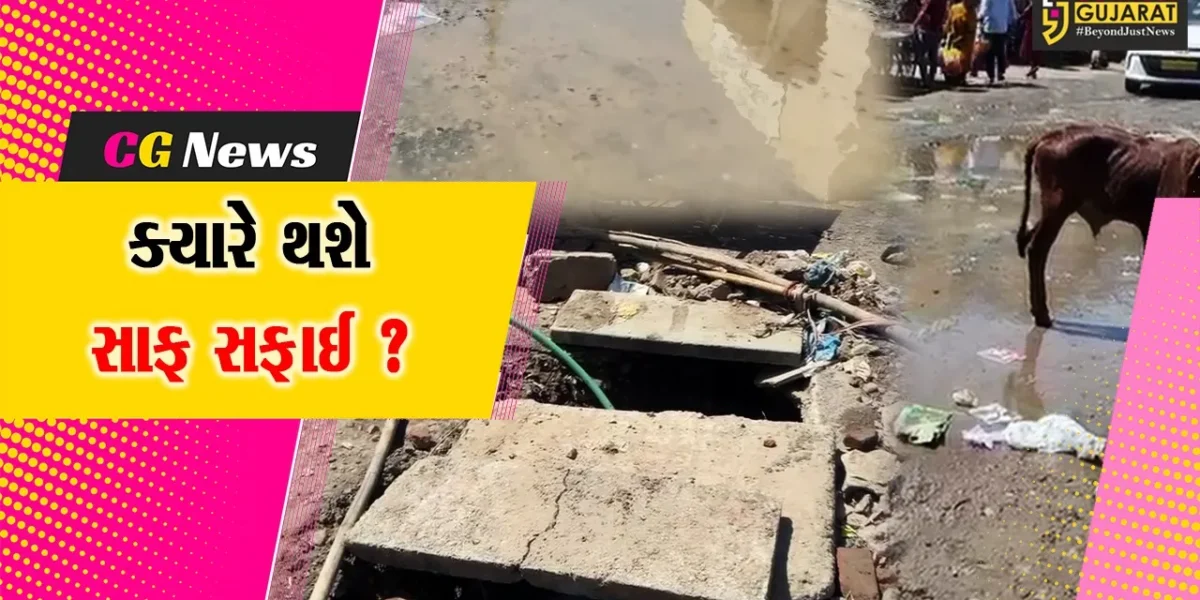 ભરૂચ: દાંડિયા બજારમાં ગંદકીના પ્રશ્ને સેનેટરી ઇન્સ્પેકટર સસ્પેન્ડ, લોકોએ કહ્યું આવા પગલા લેવા કરતા સાફ સફાઈ કરો !