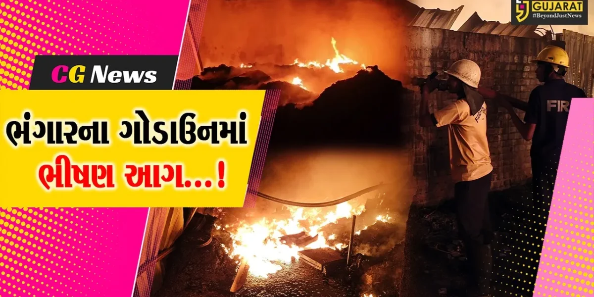 વલસાડ : વાપીમાં સ્ક્રેપ માર્કેટમાં ભીષણ આગ,12 ભંગારના ગોડાઉન આગની ચપેટમાં આવ્યા