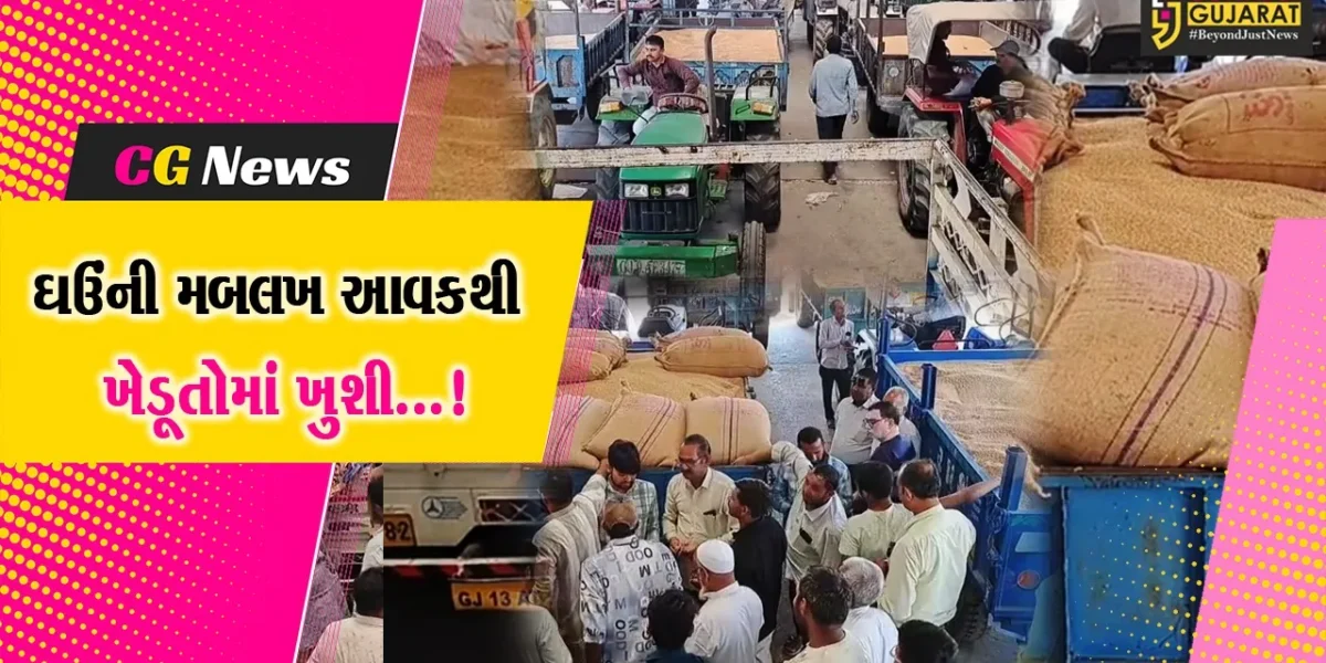 સાબરકાંઠા : હિંમતનગર માર્કેટિંગ યાર્ડ ખાતે ઘઉંની મબલખ આવક, ખેડૂતોને સારા ભાવ મળતા ખુશીનો માહોલ છવાયો