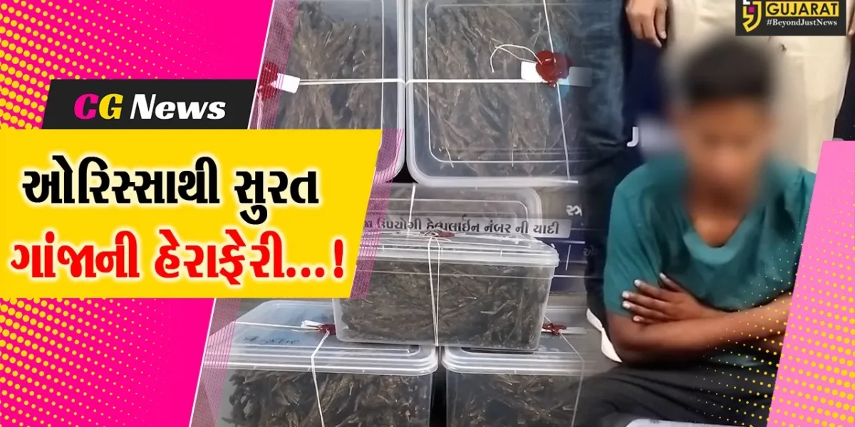 સુરત : ઓરિસ્સાથી ગાંજો લાવનાર આરોપીની પોલીસે ધરપકડ કરીને રૂ.69 હજારથી વધુનો મુદ્દામાલ કર્યો જપ્ત.