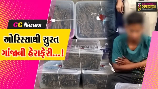 સુરત : ઓરિસ્સાથી ગાંજો લાવનાર આરોપીની પોલીસે ધરપકડ કરીને રૂ.69 હજારથી વધુનો મુદ્દામાલ કર્યો જપ્ત.