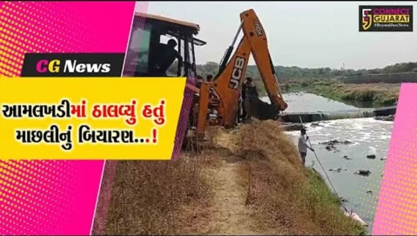 અંકલેશ્વર : આમલાખાડીમાં ઠાલવવામાં આવેલ મૃત માછલીનું બિયારણ બહાર કાઢવામાં આવ્યું