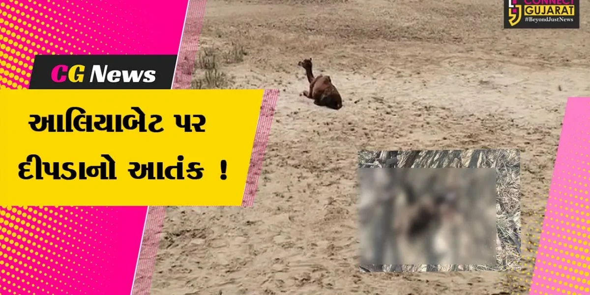 ભરૂચ: આલિયા બેટ પર દીપડાએ ઊંટના 2 બચ્ચાનો શિકાર કરતા સ્થાનિકોમાં ફફડાટ, પાંજરૂ ગોઠવવા કરી માંગ