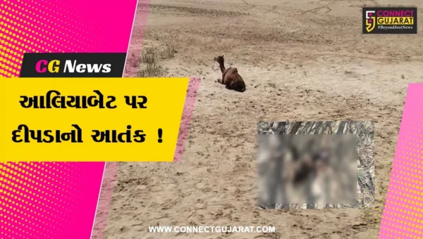 ભરૂચ: આલિયા બેટ પર દીપડાએ ઊંટના 2 બચ્ચાનો શિકાર કરતા સ્થાનિકોમાં ફફડાટ, પાંજરૂ ગોઠવવા કરી માંગ